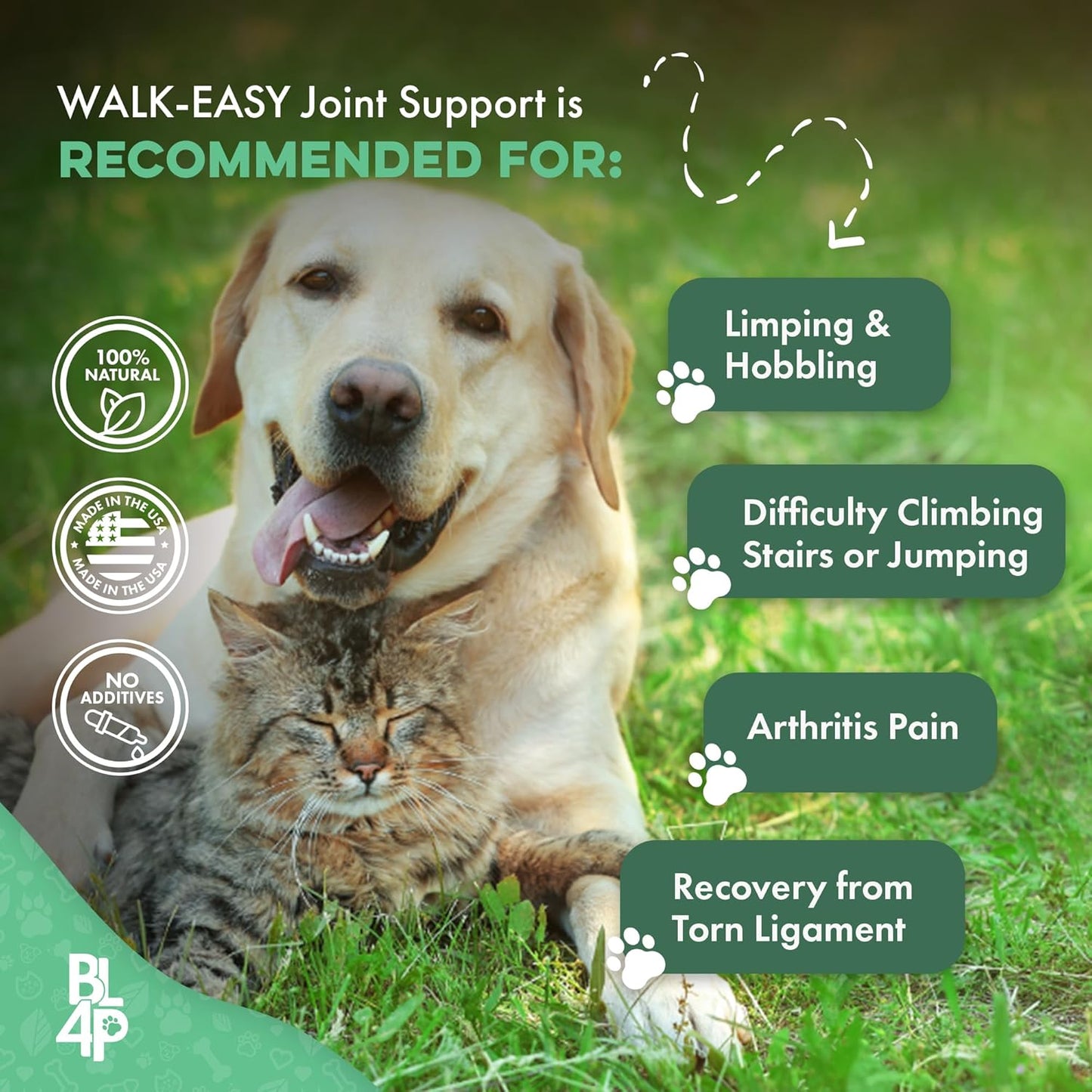 Walk-Easy Dog Hip & Joint Supplement, Effective Dog Pain Relief and Anti-Inflammatory Supplement for Mobility, Canine Joint Pain Relief, ACL Tears, Limping, Knee and Back Aches, Easy to Give 2 Pack