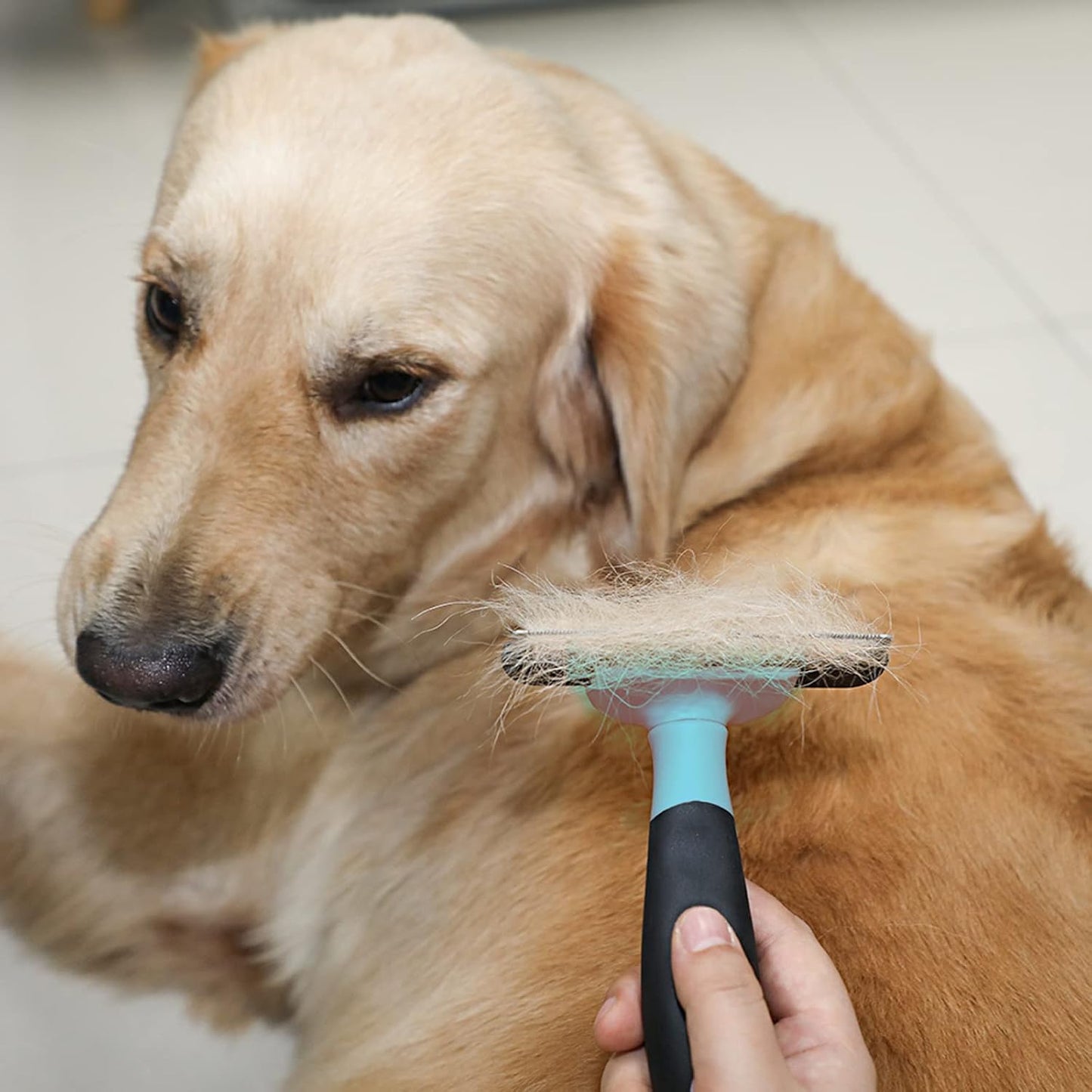 Pet Grooming Brush (Small Size)