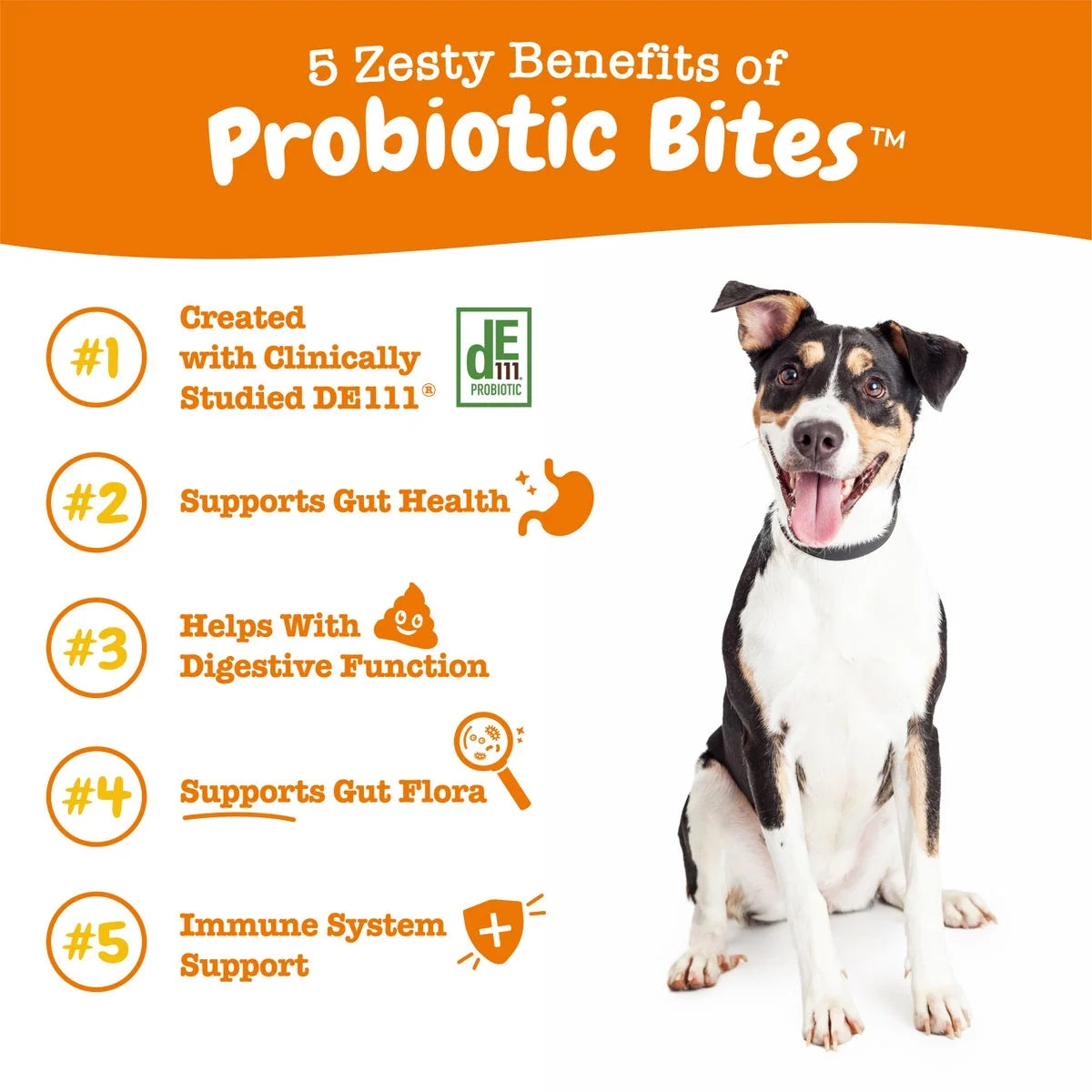 (3 Pack)  Probiotic Bites for Dogs, to Support Gut Health, Pumpkin 60Ct