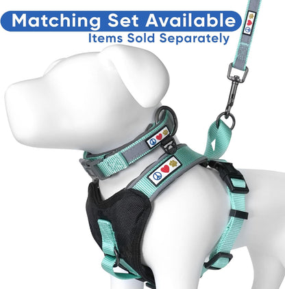 Reflective Dog Harness Padded Dog Harness Provides Comfort Control for a Walk or Running Great Pet Accessories Dog Vest M Medium Teal Dog Harness