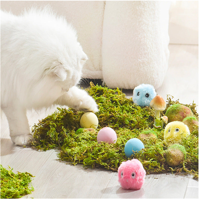 Kitty Calling Ball Toy Light-Emitting Cat Teasing Ball Catnip Sound Molar Long Lasting Self-Hi Relieving Stuffy Dog Toy Pet Products