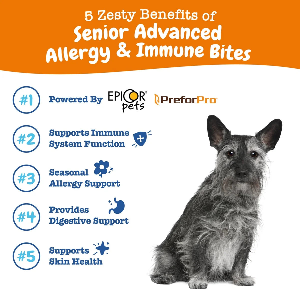 Senior Advanced Allergy & Immune Bites for Senior Dogs, Allergy Relief and Immune Support, Salmon Flavor, 90 Ct