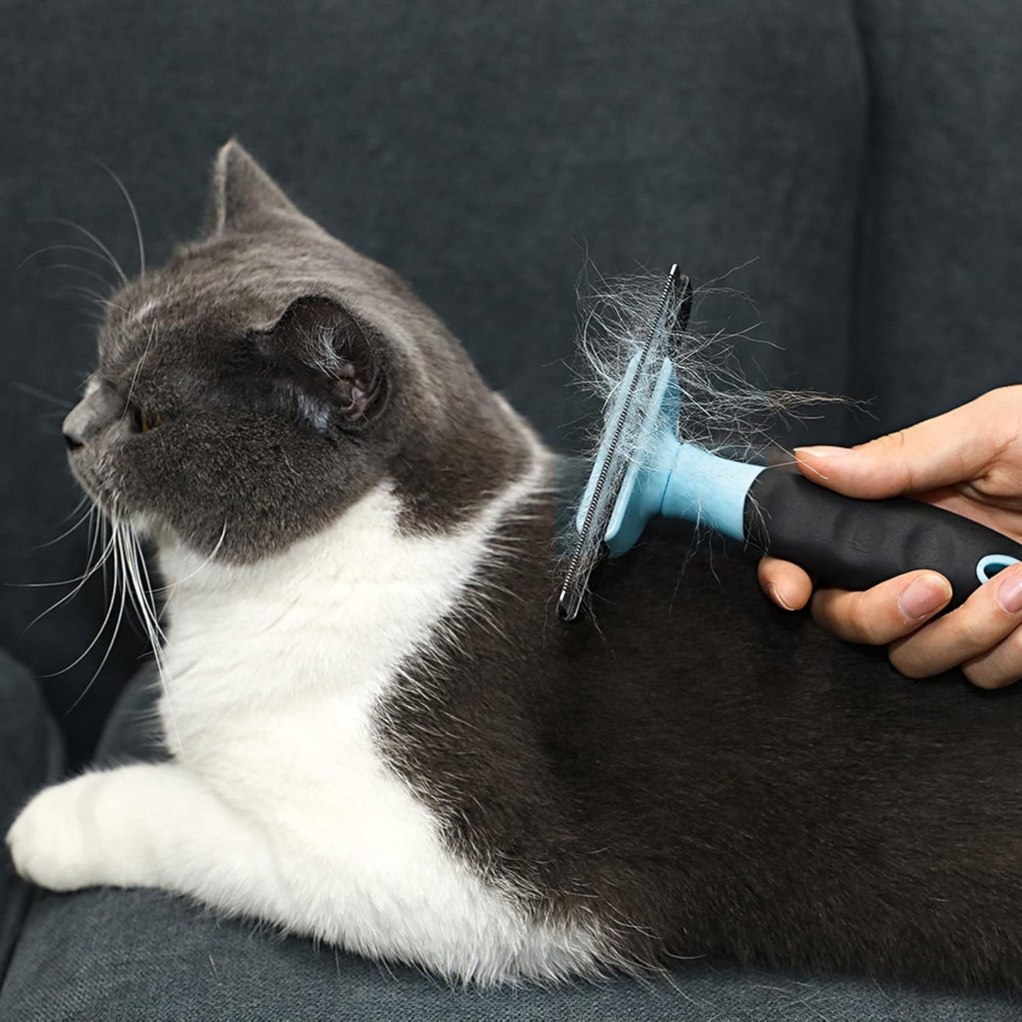 Pet Grooming Brush (Small Size)