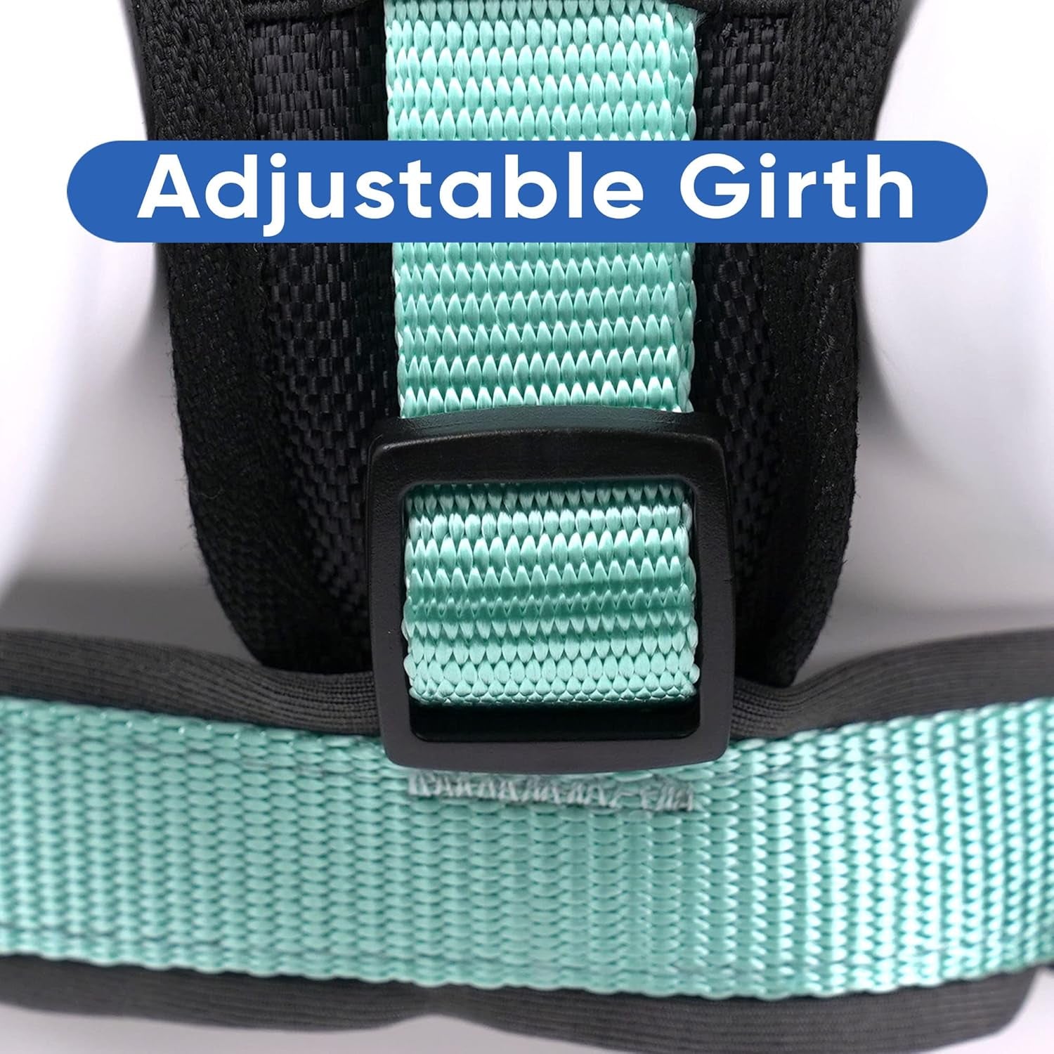 Reflective Dog Harness Padded Dog Harness Provides Comfort Control for a Walk or Running Great Pet Accessories Dog Vest M Medium Teal Dog Harness