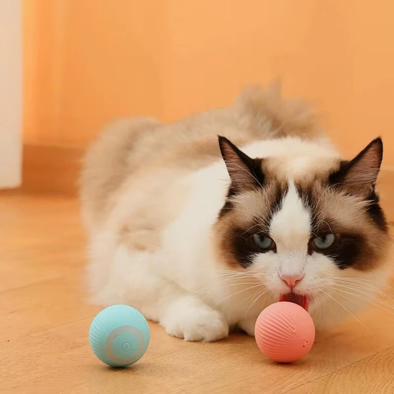 Gravity Intelligent Rolling Ball Cat Toys USB Charging Pet Accessorie Grinding Teeth Resistant to Bite Amuse Pet Toys